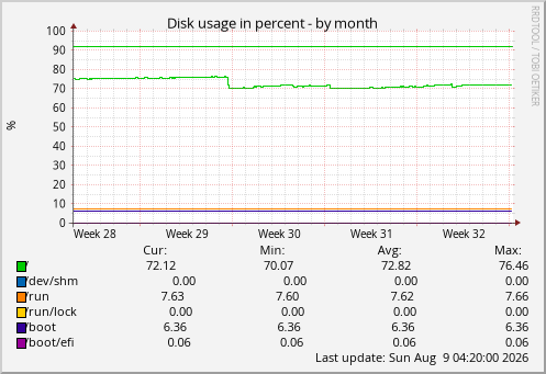 Disk usage in percent