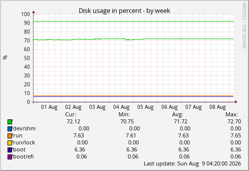 Disk usage in percent